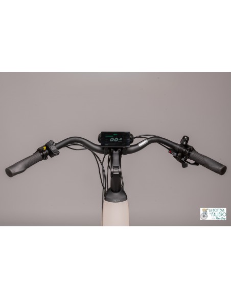 XP I-D9.4 E-Bike Particolari Dispaly