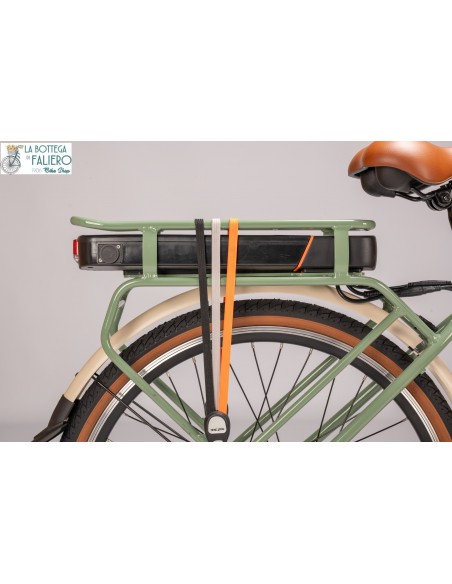 E-BIKE XP D6.4 Particolare Batteria