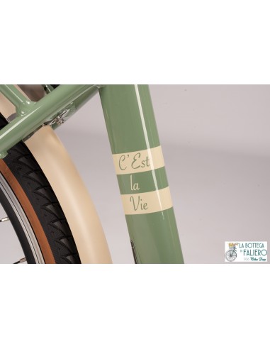 E-BIKE XP D6.4 Particolari