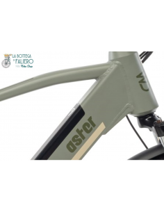 E-Bike Aster Man Grigio Opaco World Dimension 2