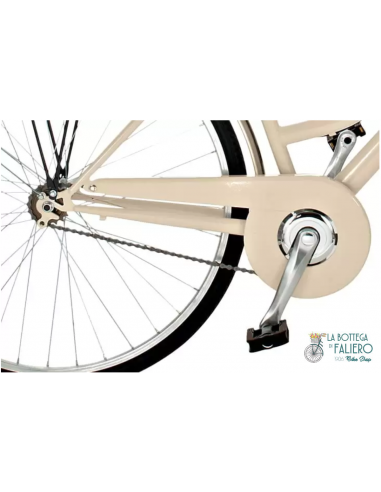 Allure 6 velocità Particolare Cambio