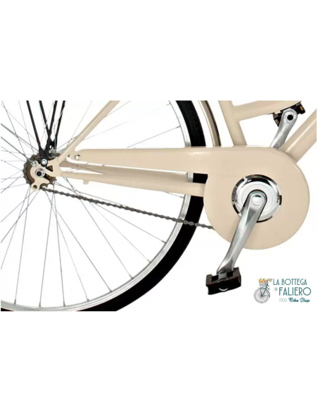 Allure 6 velocità Particolare Cambio