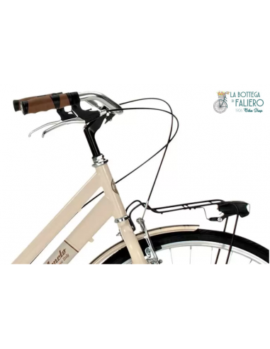 Allure 6 velocità Particolare Manubrio