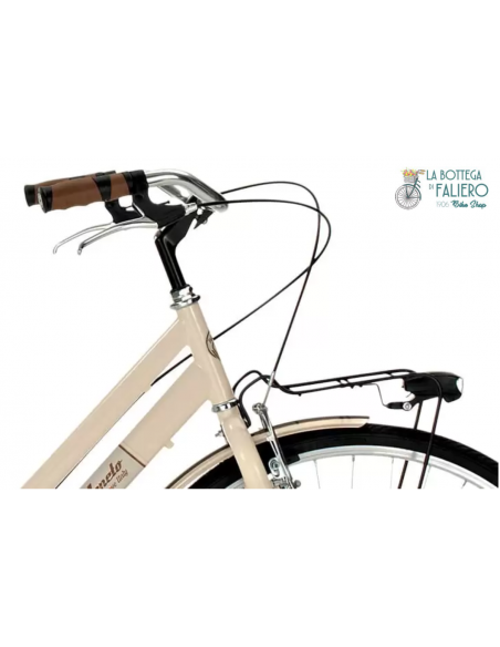 Allure 6 velocità Particolare Manubrio