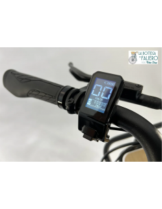 Bici Elettrica XP I-MD9.1 Dark Grey 2