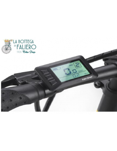 World Dimension Haira Lady E-BIKE World Dimension Haira Lady E-BIKE