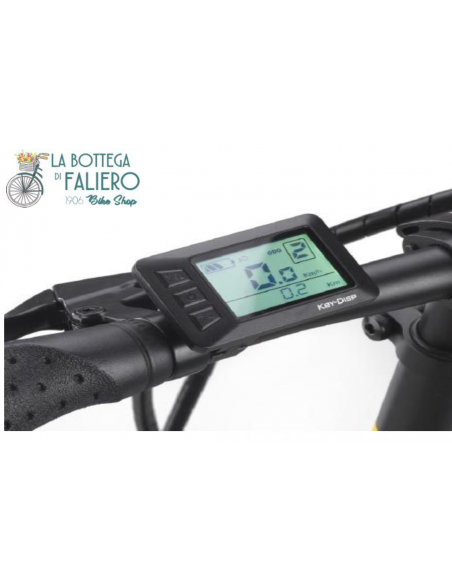 World Dimension Haira Lady E-BIKE World Dimension Haira Lady E-BIKE